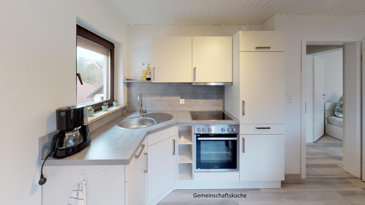 Apartments Mosbach Μόσμπαχ Εξωτερικό φωτογραφία